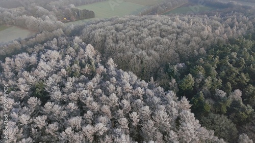 Obraz na płótnie Wald Winter Vogelperspektive w salonie