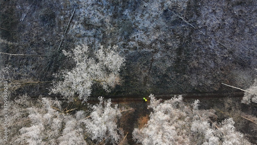 Wald Winter Vogelperspektive