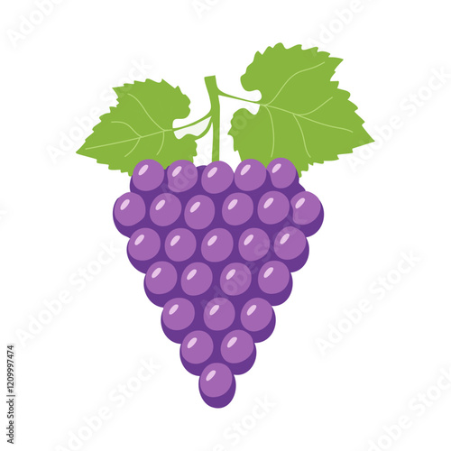Grapes on a branch with leaves vector illustration. Image of berries on a branch in cartoon style for packaging and design.