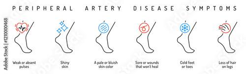 Vascular health. PAD early detection. Blood vessels disease.