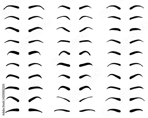 Types and forms of eyebrows, tattoo design on a white background	