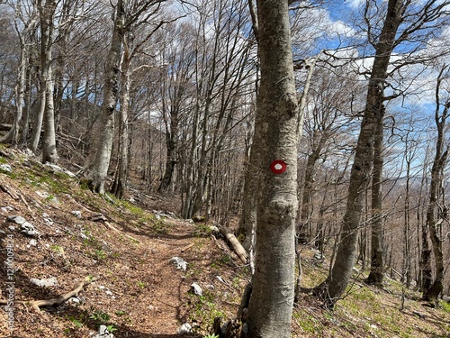 Wallpaper Mural Premuzic hiking trail or Premuzic Trail - Velebit Nature Park, Croatia or Premuzic-Wanderweg or Premuzic's Trail (Pješački planinarski put Premužićeva staza - Park prirode Velebit, Hrvatska) Torontodigital.ca