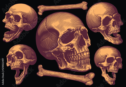 Skulls and Bones. Design set. Editable hand drawn illustration. Vector vintage engraving. Isolated on black background. 8 EPS