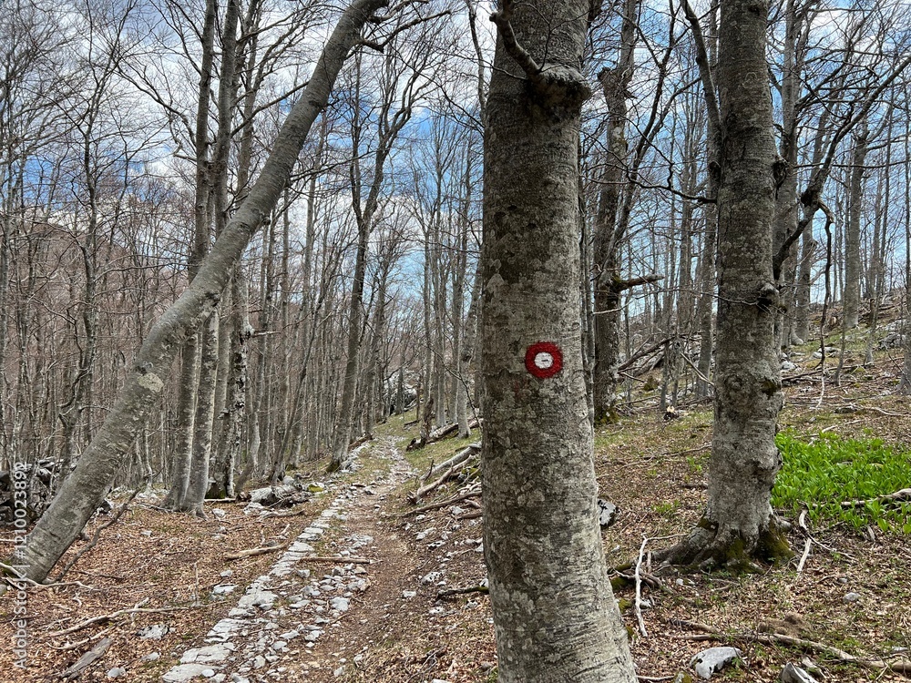 custom made wallpaper toronto digitalPremuzic hiking trail or Premuzic Trail - Velebit Nature Park, Croatia or Premuzic-Wanderweg or Premuzic's Trail (Pješački planinarski put Premužićeva staza - Park prirode Velebit, Hrvatska)