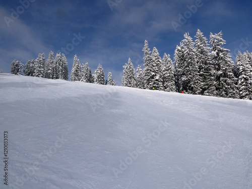 Zachhofalmabfahrt Dienten photo