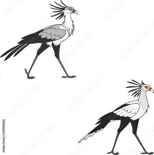 Secretary bird bundle design and illustrator eps