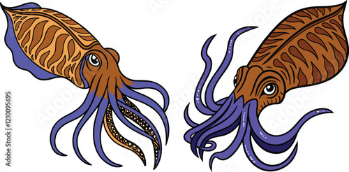 Squid bundle design and illustrator eps