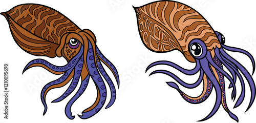 Squid bundle design and illustrator eps