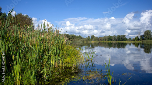 Serenity in Nature: A Tranquil Escape