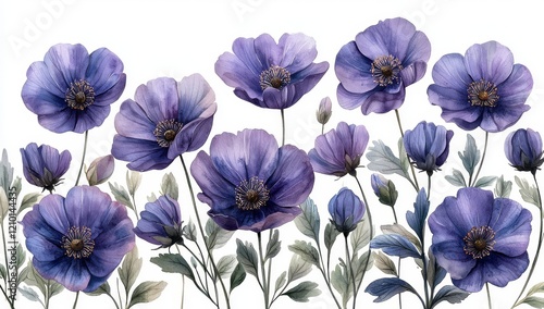 Wallpaper Mural Botanical illustrations featuring vibrant and monochrome images of wildflowers Torontodigital.ca