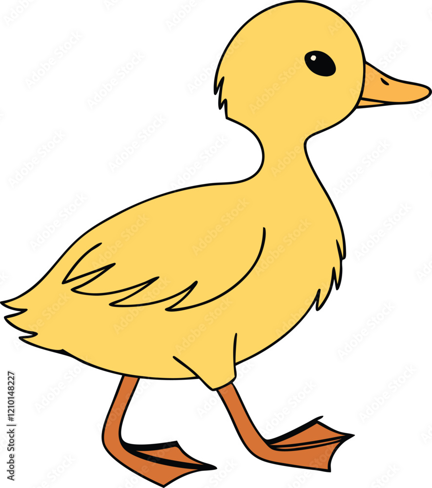 Duckling Duckling