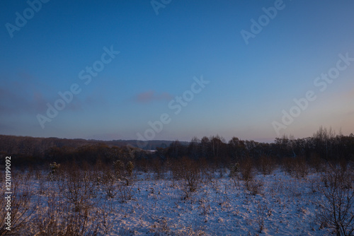 Wallpaper Mural A winter evening in the wild Torontodigital.ca