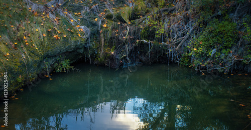 side of a pond in a spanish forest with reflections