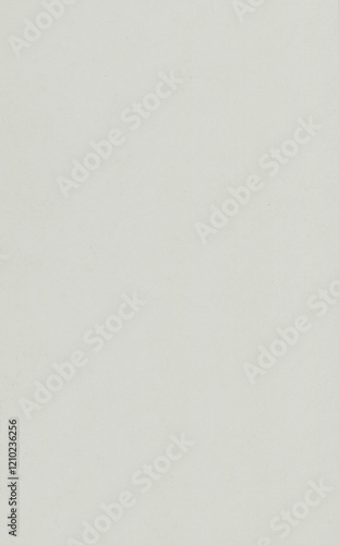 Minimalist White Background With Subtle Texture and Neutral Tone