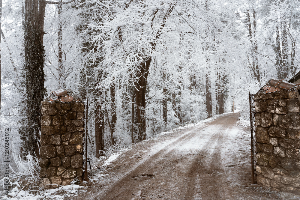 Snowy road and cold winter landscape - winter snow Fruška Gora Serbia
