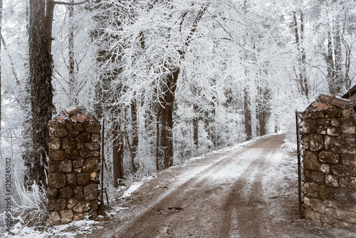 Obraz na płótnie Snowy road and cold winter landscape - winter snow Fruška Gora Serbia w salonie
