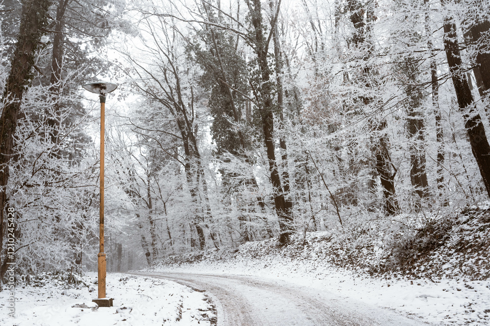 Snowy road and cold winter landscape - winter snow Fruška Gora Serbia