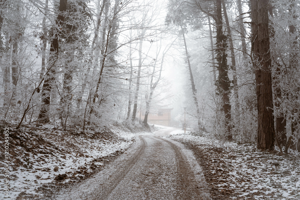 Snowy road and cold winter landscape - winter snow Fruška Gora Serbia