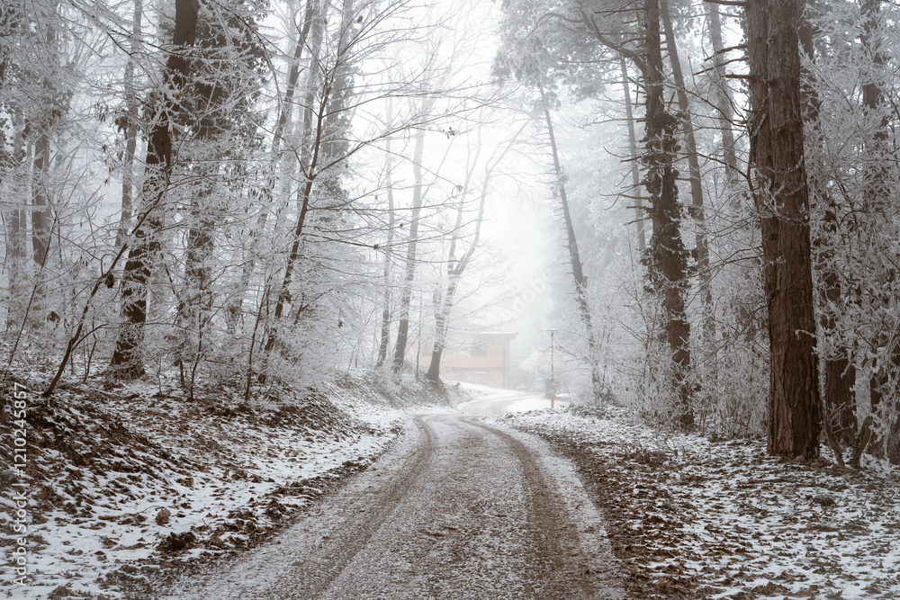 Snowy road and cold winter landscape - winter snow Fruška Gora Serbia
