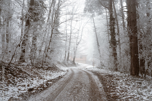 Obraz na płótnie Snowy road and cold winter landscape - winter snow Fruška Gora Serbia w salonie