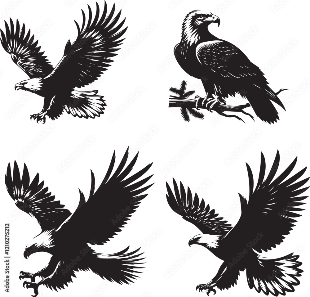 Obraz premium Eagle Black-and-White Silhouettes Collection, Mid-Flight, Perched, Diving, Soaring, eagle perched, eagle flying, eagle diving, eagle vector, black and white silhouette of eagle isolated on white 