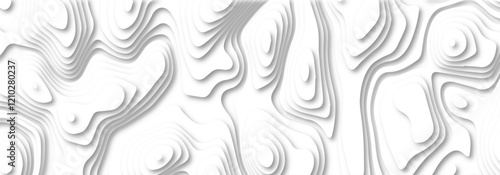 Abstract 3d wavy line paper cut white background. Topographic canyon geometric map relief texture with curved layers and shadow.