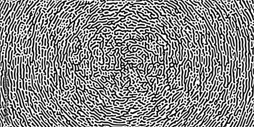 Abstract blue lines on white background. Chaotic lines texture. Pattern with labirint effect.