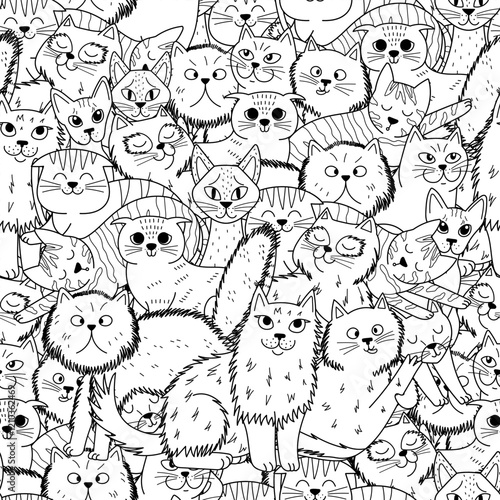 Adorable seamless pattern with different cats breed - maine coon, scottish fold, sphinx, bengal cat and others. Funny feline characters for coloring book. Outline background. Vector illustration