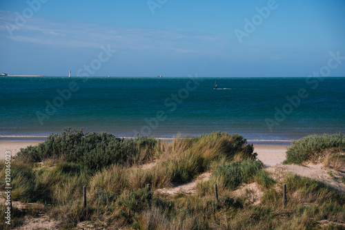 Wallpaper Mural Wide view of a windsurfer sailing in the ocean with sand dunes and beach vegetation in the foreground, Cadiz, Spain Torontodigital.ca