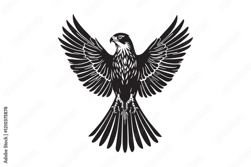 Fototapeta premium Detailed Black and White Flying Eagle Vector Art