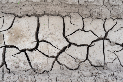 dried and cracked mud in place of a puddle