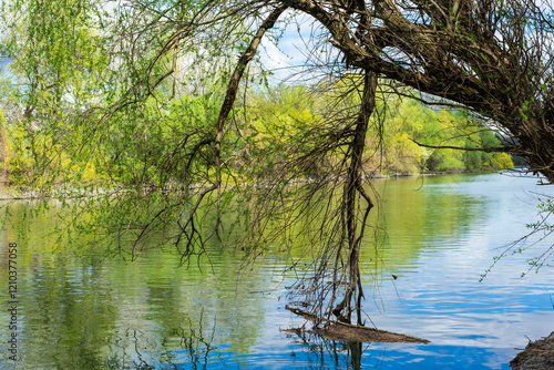 Dniester River, View from one bank to the other