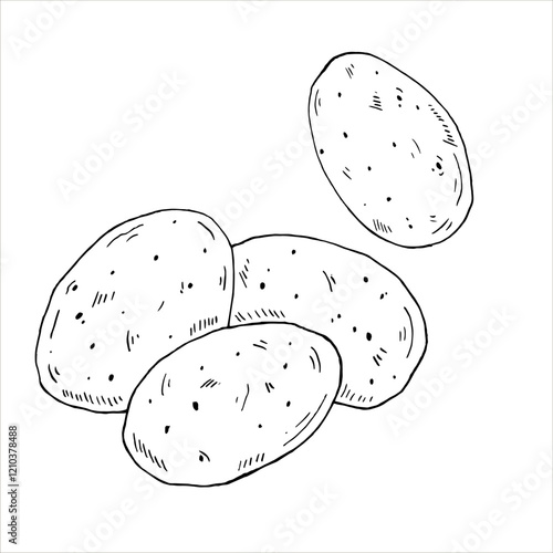 Graphics vector black outline handful of potatoes. Two versions - with and without filling