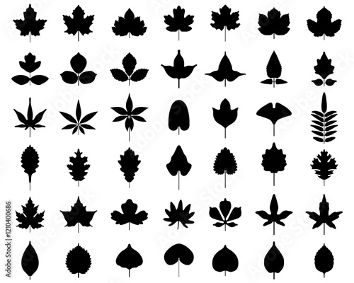 Silhouettes of foliage on a white background