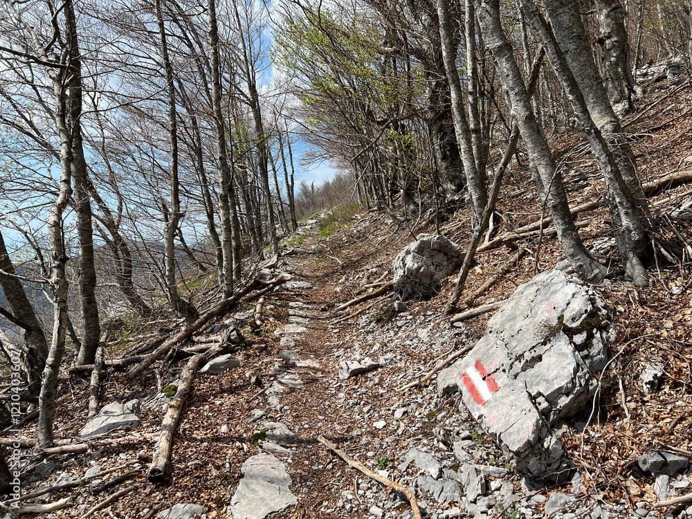Obraz premium Premuzic hiking trail or Premuzic Trail - Velebit Nature Park, Croatia or Premuzic-Wanderweg or Premuzic's Trail (Pješački planinarski put Premužićeva staza - Park prirode Velebit, Hrvatska)