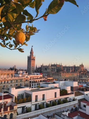 View of Giralda tower with sunset light
