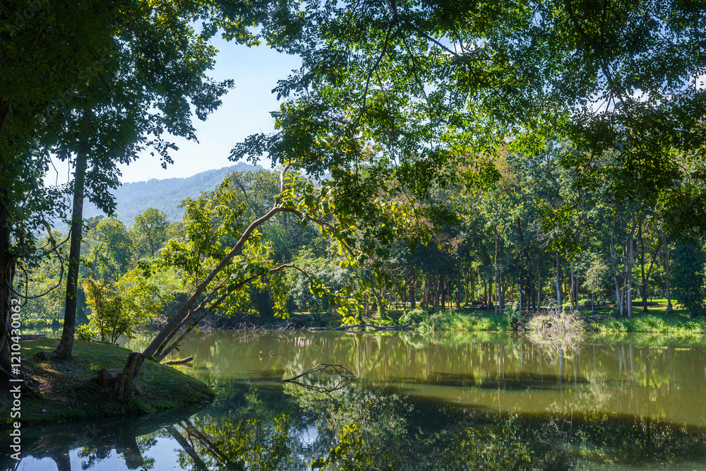 a public place leisure travel landscape lake views at Ang Kaew Chiang Mai University and Doi Suthep nature forest Mountain views spring cloudy sky background with white cloud.