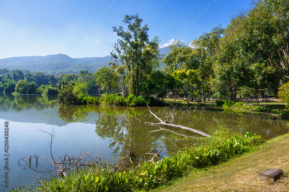 a public place leisure travel landscape lake views at Ang Kaew Chiang Mai University and Doi Suthep nature forest Mountain views spring cloudy sky background with white cloud.