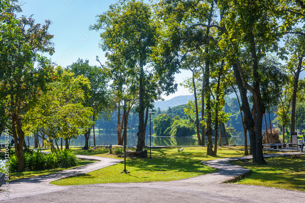 a public place leisure travel landscape lake views at Ang Kaew Chiang Mai University and Doi Suthep nature forest Mountain views spring cloudy sky background with white cloud.