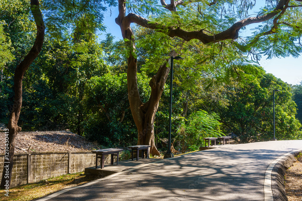 a public place leisure travel landscape lake views at Ang Kaew Chiang Mai University and Doi Suthep nature forest Mountain views spring cloudy sky background with white cloud.