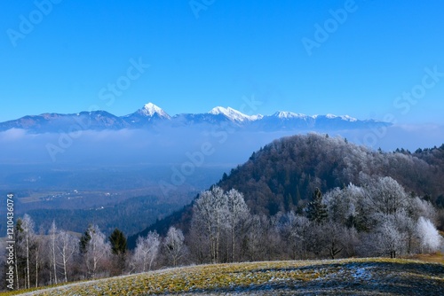 Misty landscape with peaks of Storžič and Grintovec mountains and frost covered trees in Gorenjska, Slovenia photo