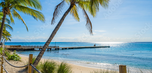 Obraz na płótnie Tropical beach with palm trees and pier. Grand Turk, Turks and Caicos. w salonie