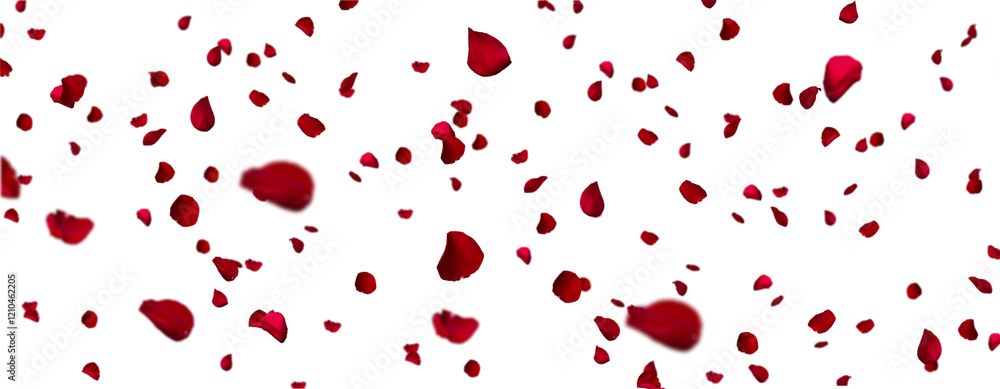 Rose Pedals Scattered, cut out Rose Pedals Scattered, cut out