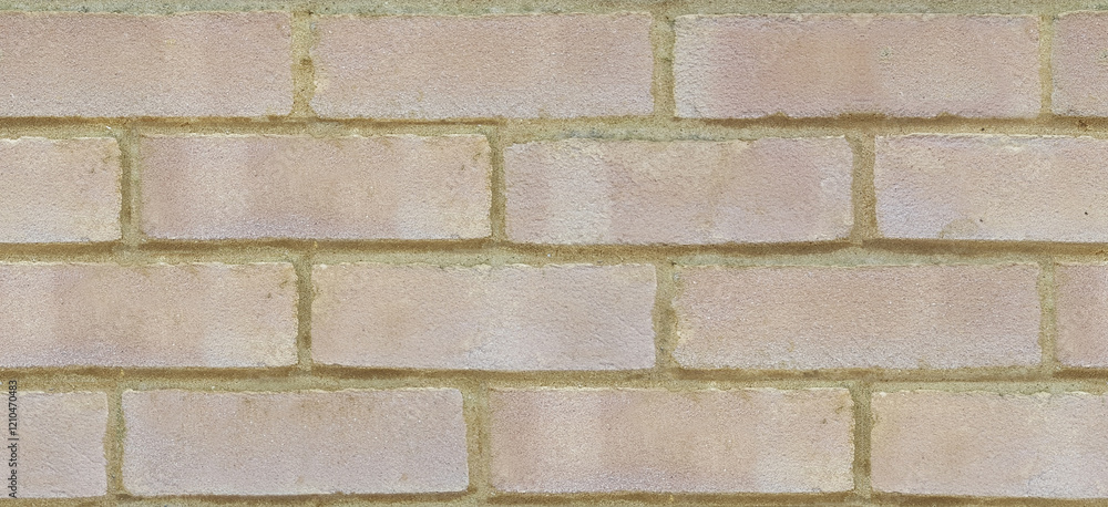 Fototapeta premium Seamless Brick Texture 