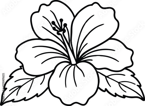 outline style hibiscus flower illustration