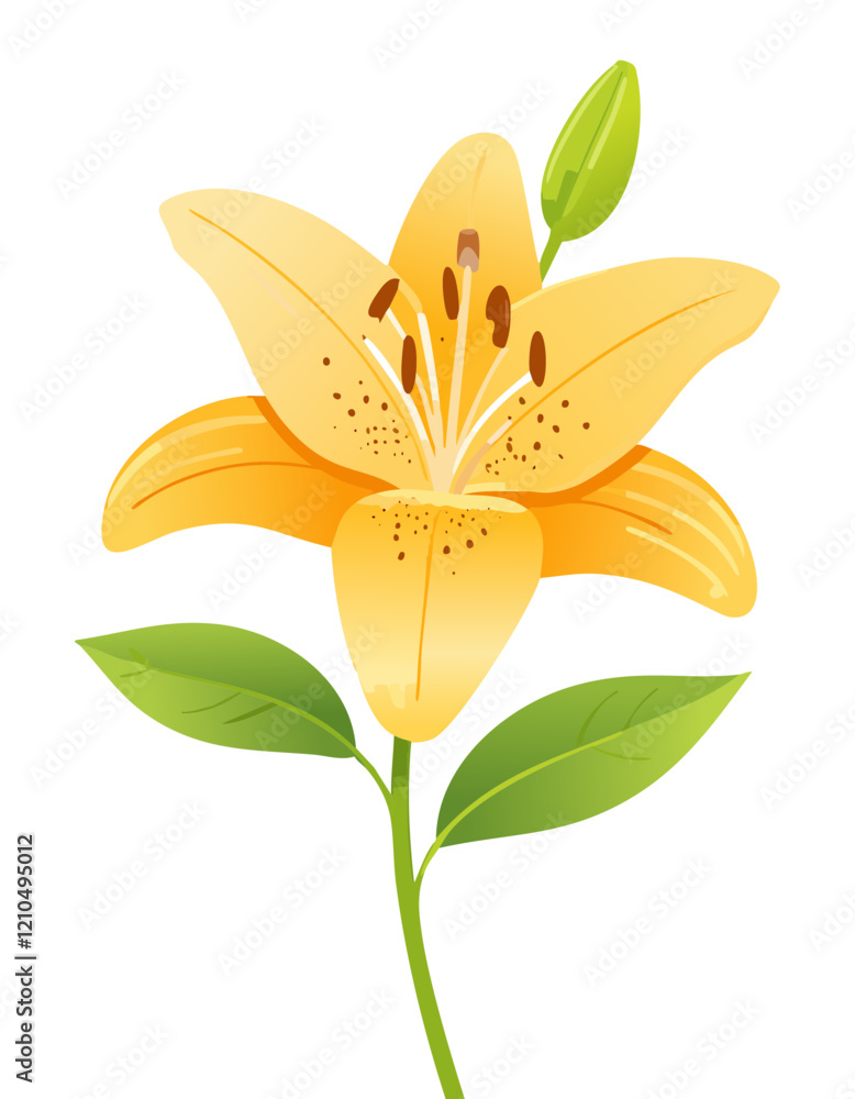 yellow lily flower vector yellow lily flower vector