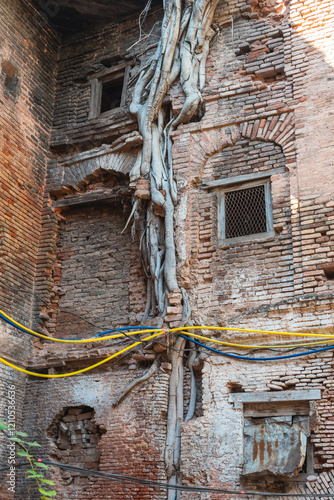 Old building in Rawalpindi - tree grown in the walls