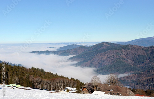 Winterlandschaft auf dem Geiersnest bei Freiburg photo