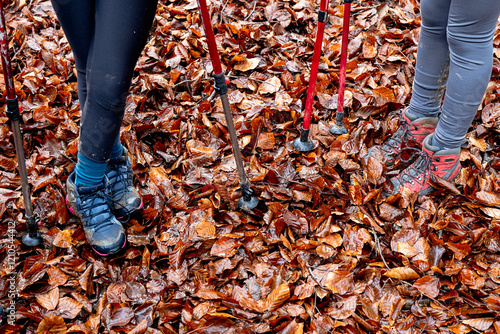 Autumn hiking adventure with trekking poles in a magic forest photo