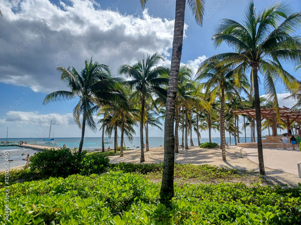 Obraz premium Playa del Car beach view
